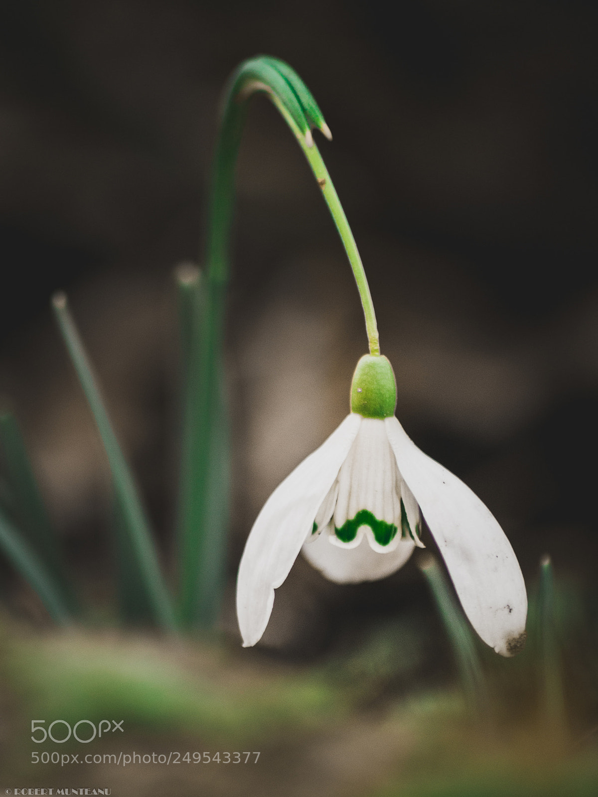 Nikon D3100 sample photo. Untitled photography