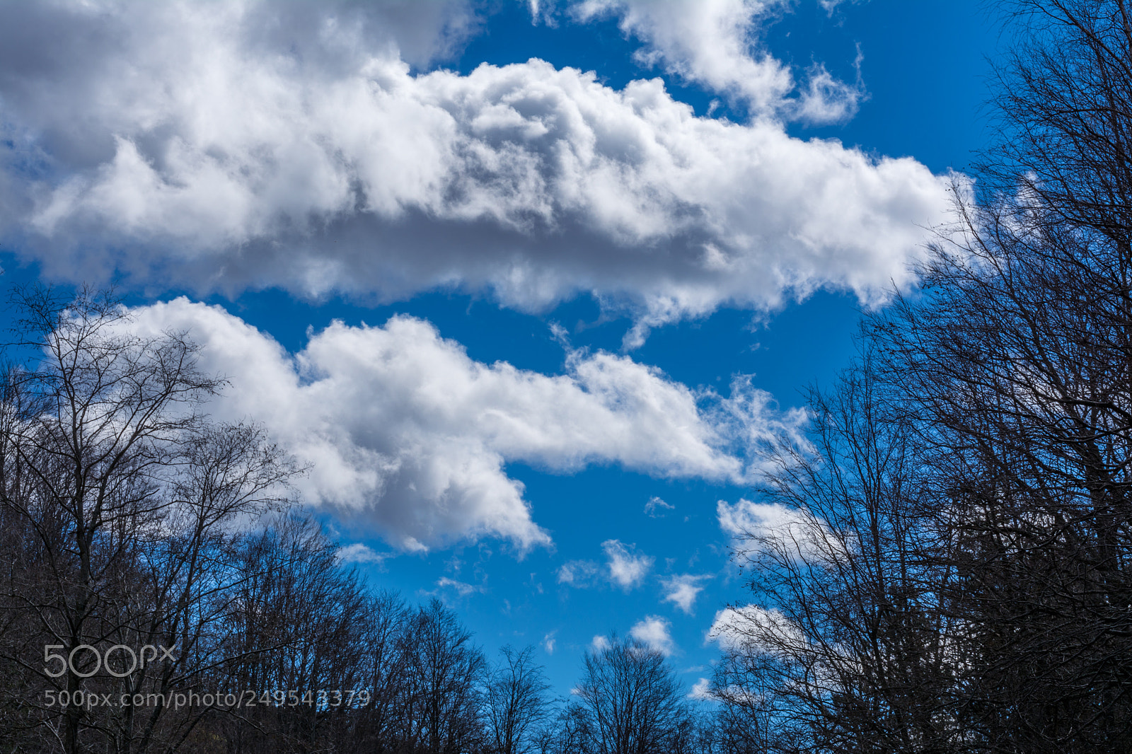 Nikon D5200 sample photo. Clear cloudy sky ii photography