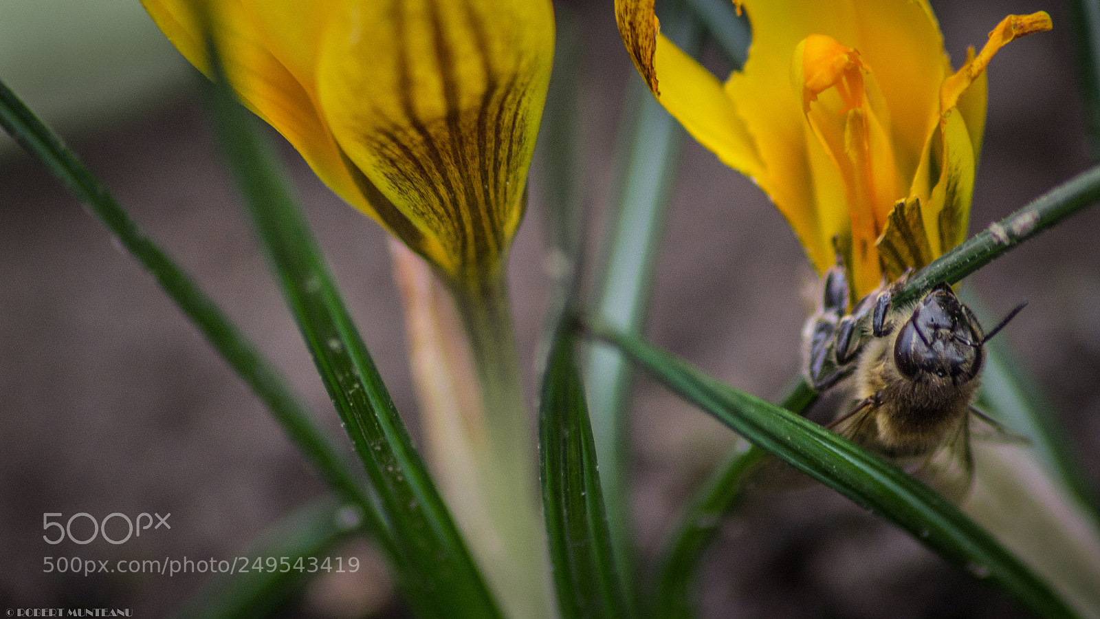 Nikon D3100 sample photo. Untitled photography