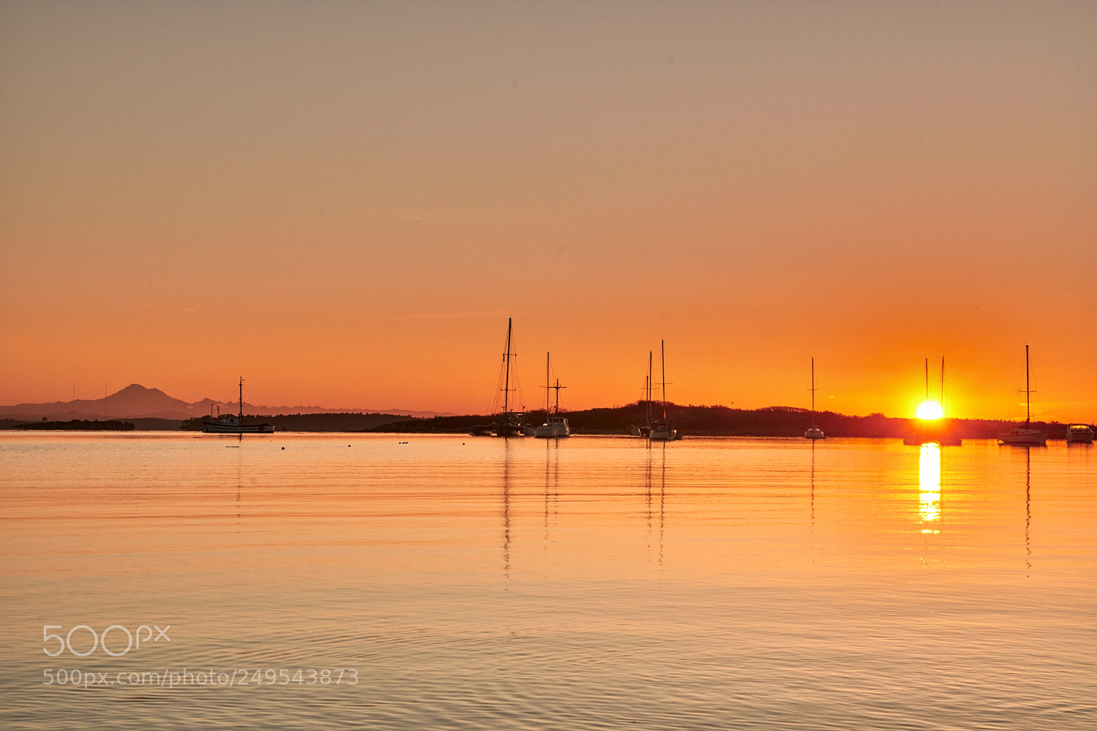 Nikon D500 sample photo. Golden sunrise with mt photography