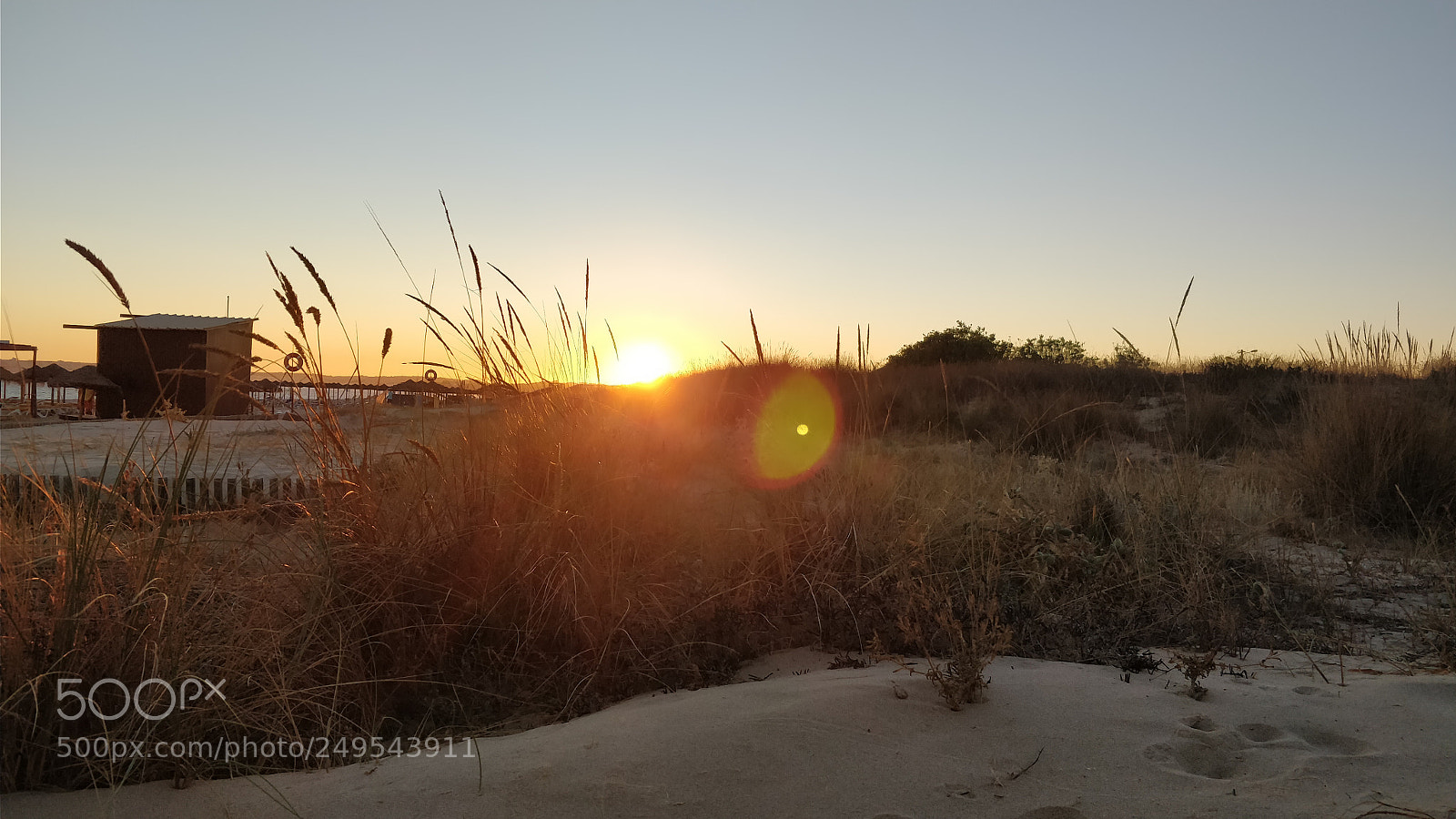 OnePlus 5 sample photo. Untitled photography