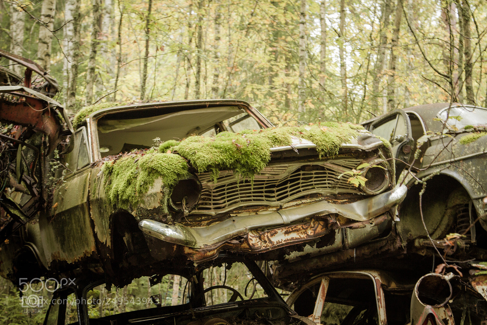 Canon EOS 7D sample photo. Old car cemetery. photography
