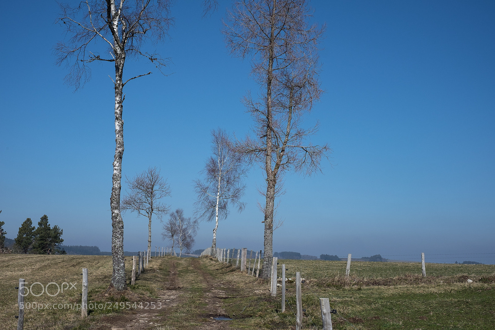 Fujifilm X-T10 sample photo. Millevaches photography