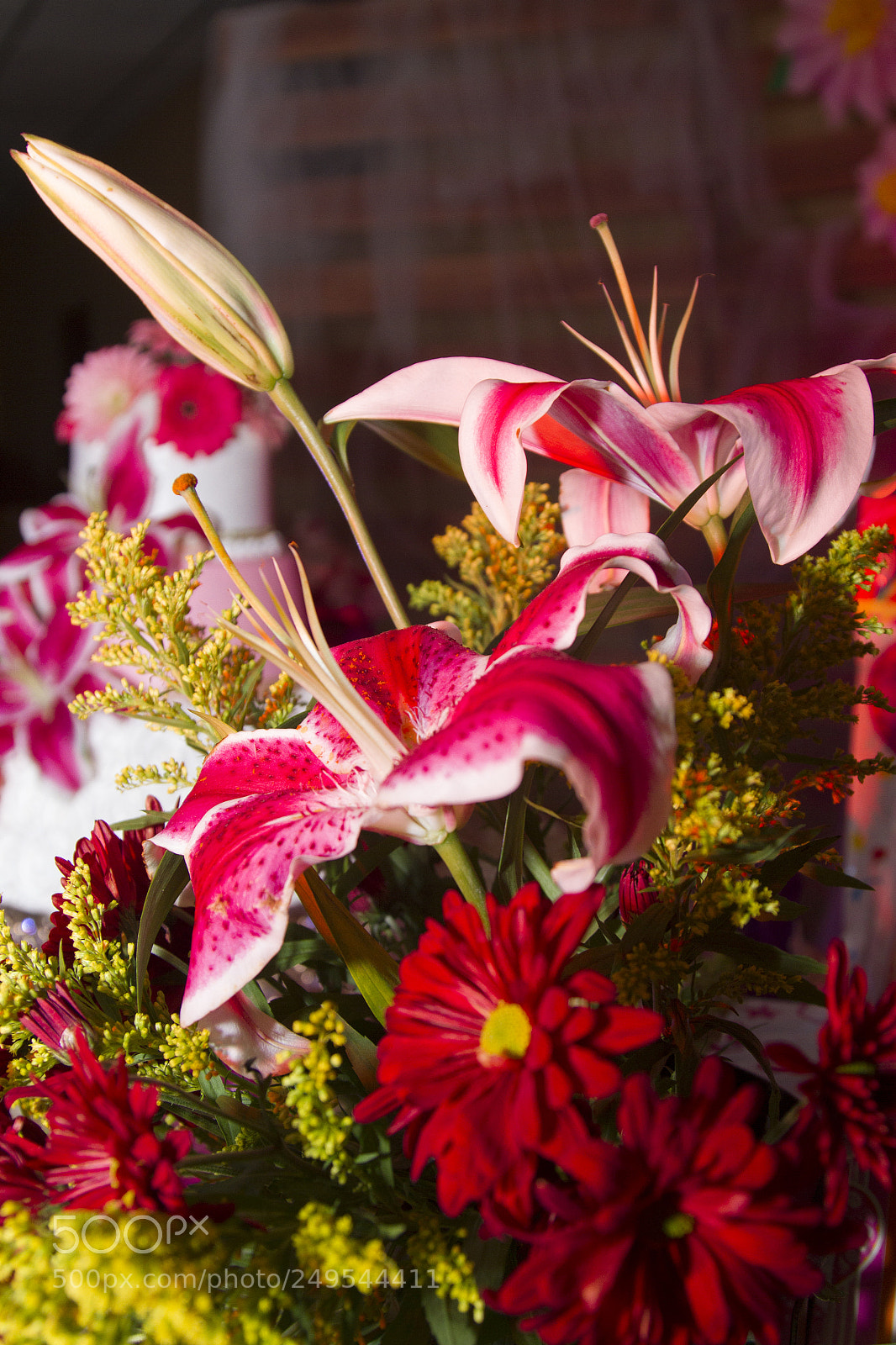 Canon EOS 7D sample photo. 1,6.jpg photography