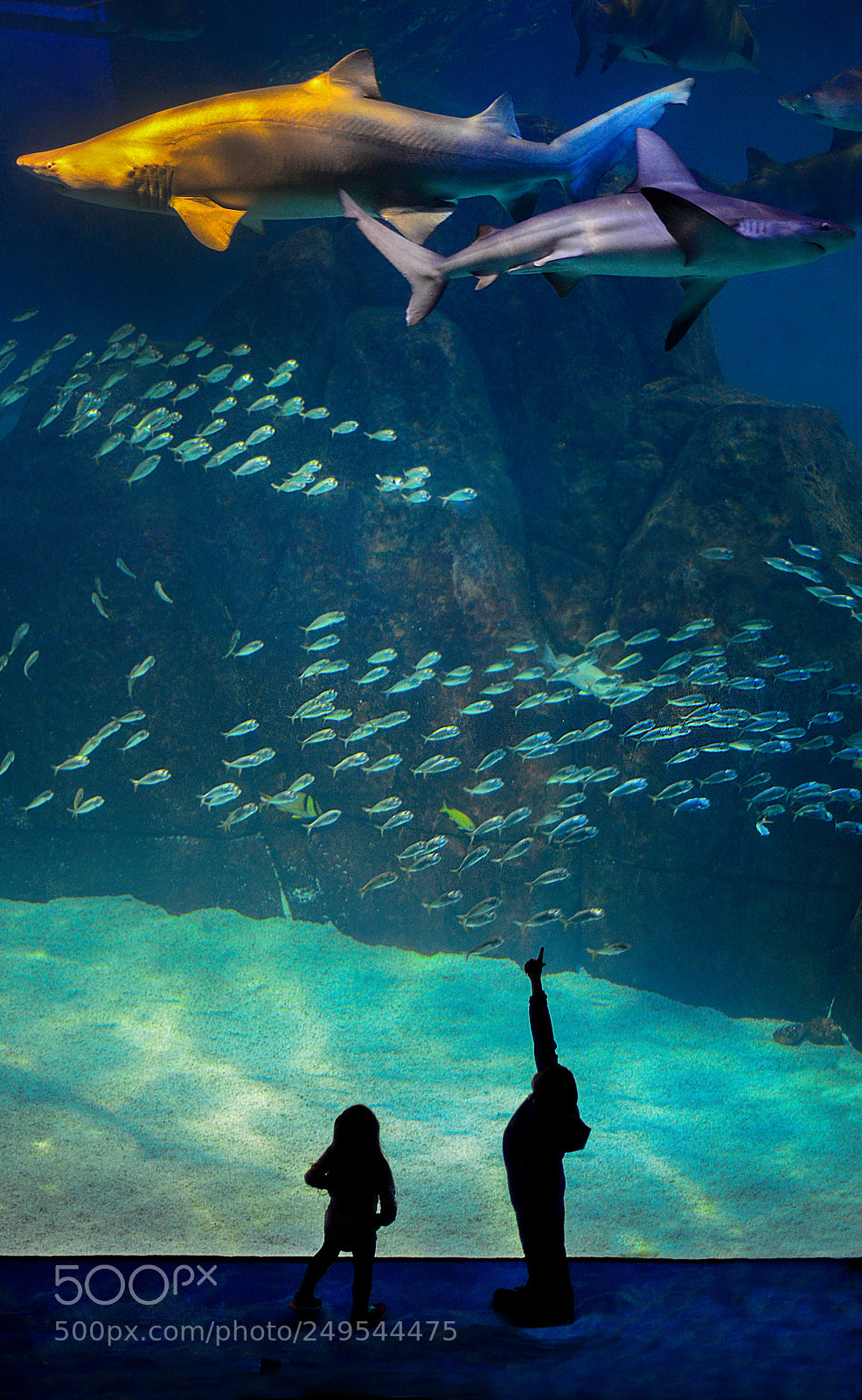Nikon D800 sample photo. Look at that one photography