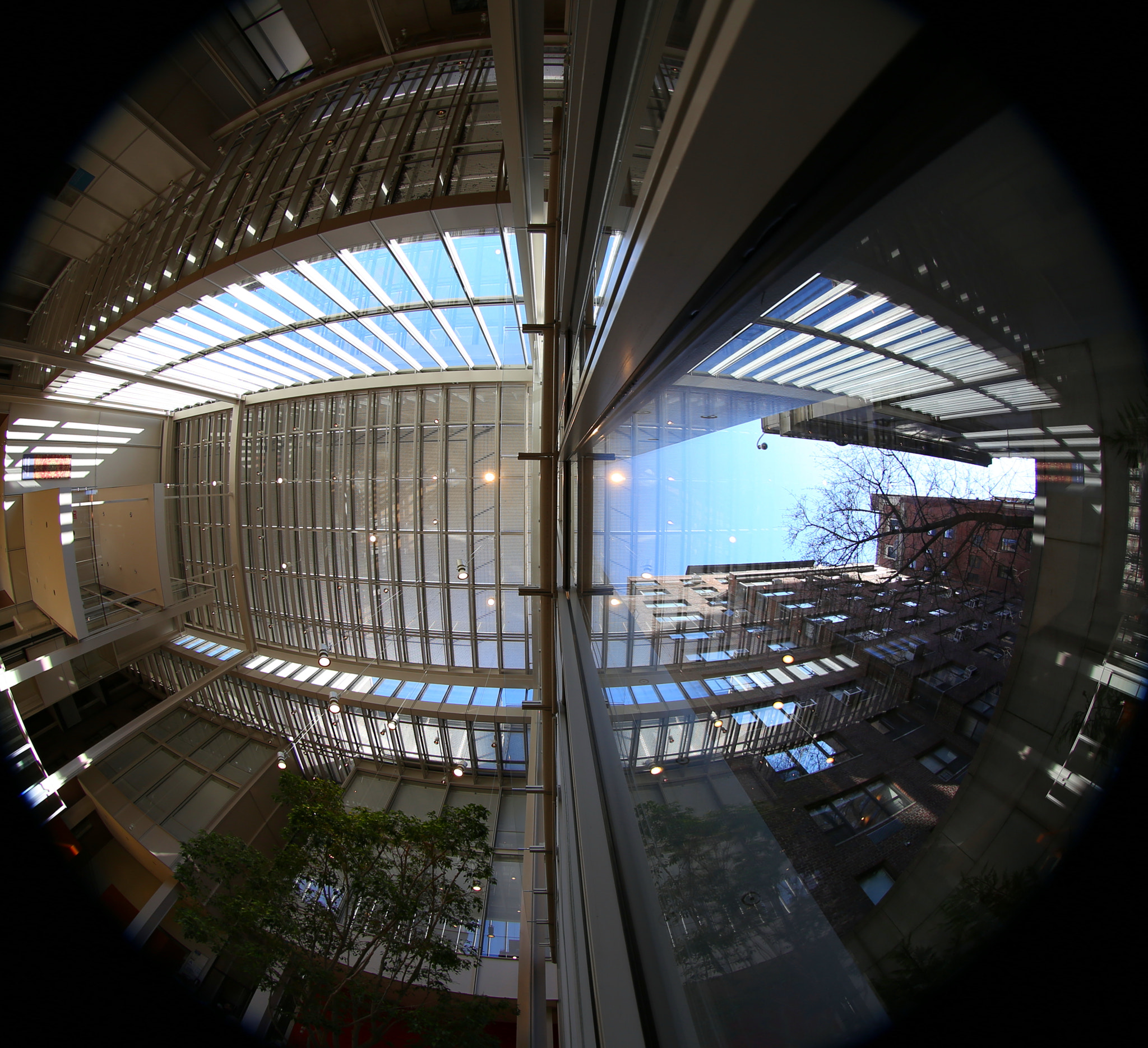 Canon EF 8-15mm F4L Fisheye USM sample photo. The morgan library & museum, new york. photography