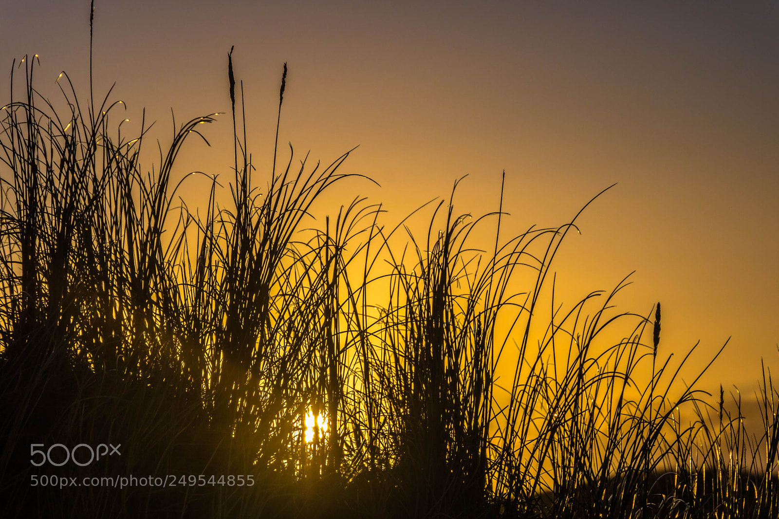 Canon EOS 760D (EOS Rebel T6s / EOS 8000D) sample photo. Sunrise on sylt island photography