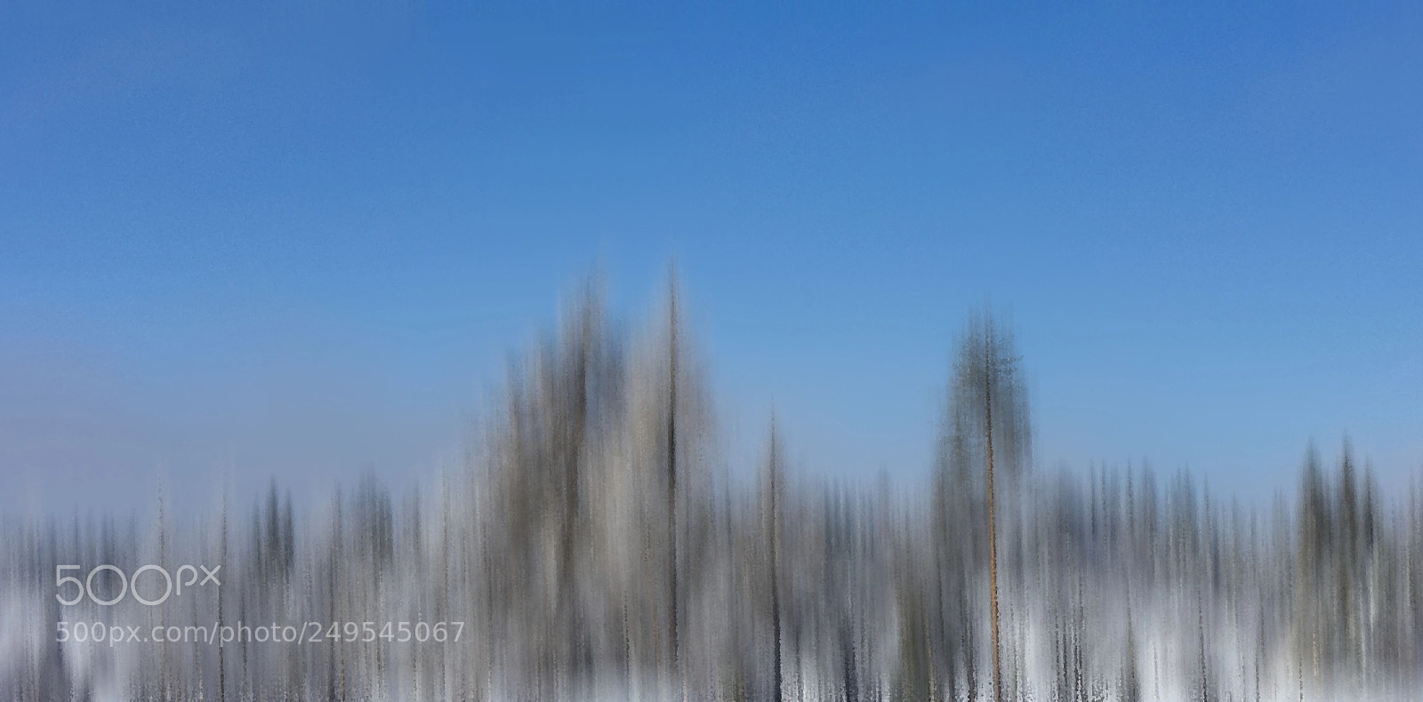 Canon EOS 6D sample photo. Winter forest photography