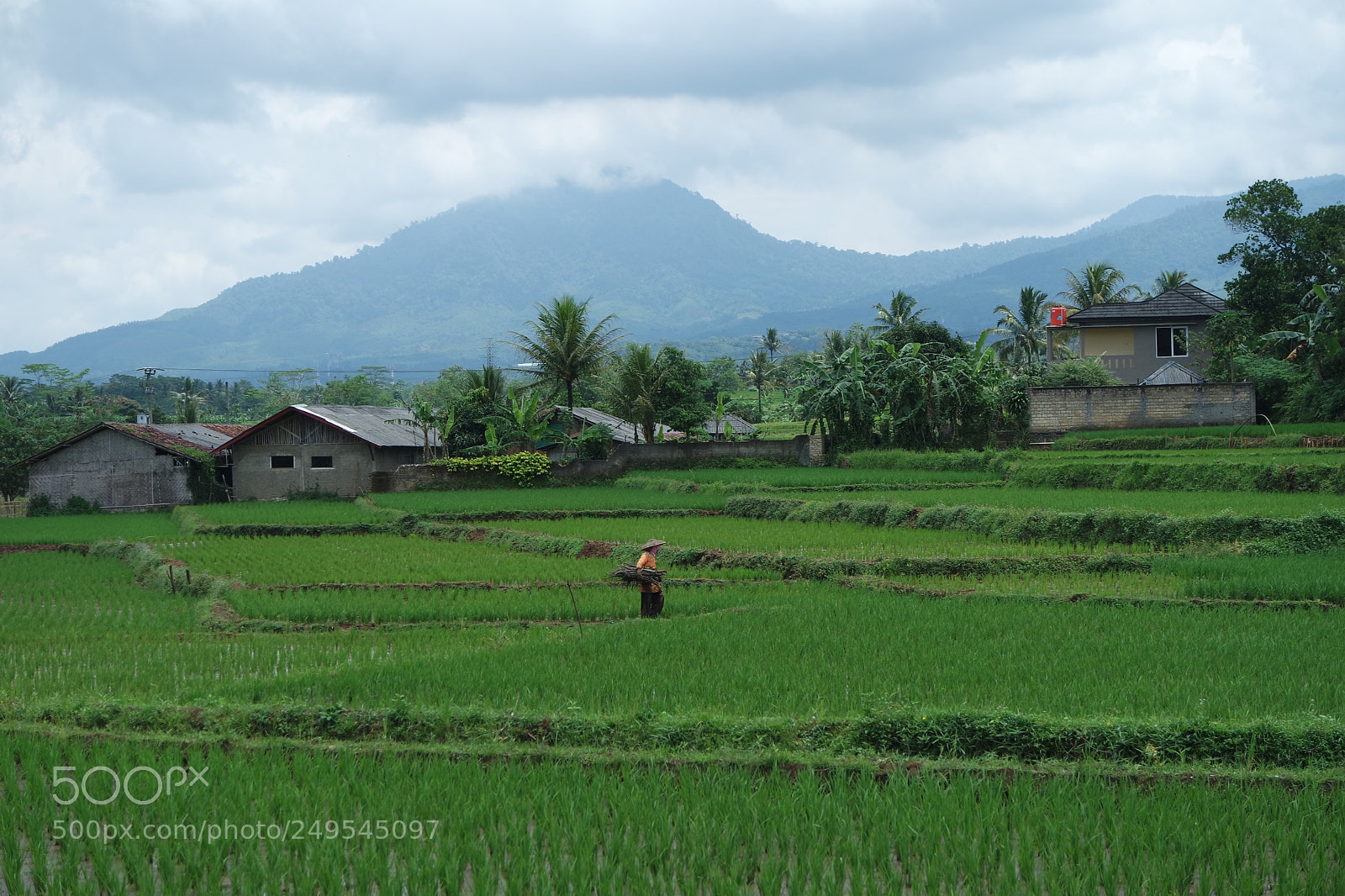 Samsung NX3000 sample photo. The morning photography