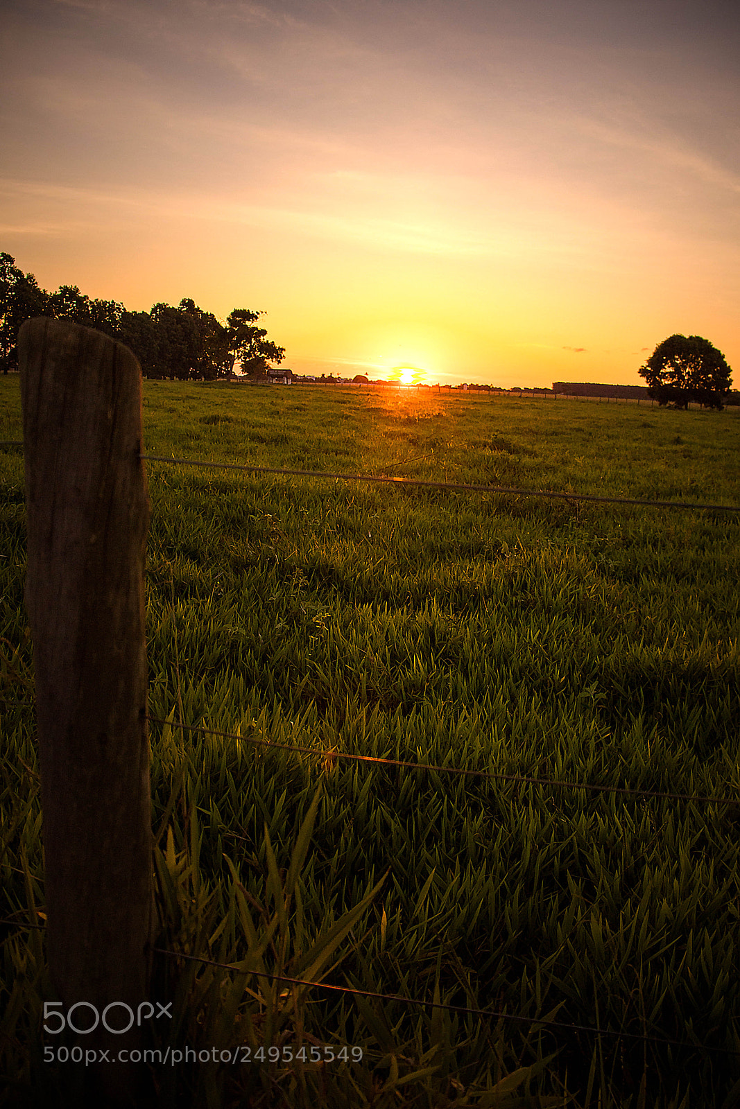 Canon EOS 800D (EOS Rebel T7i / EOS Kiss X9i) sample photo. Rural teixeira de freitas photography