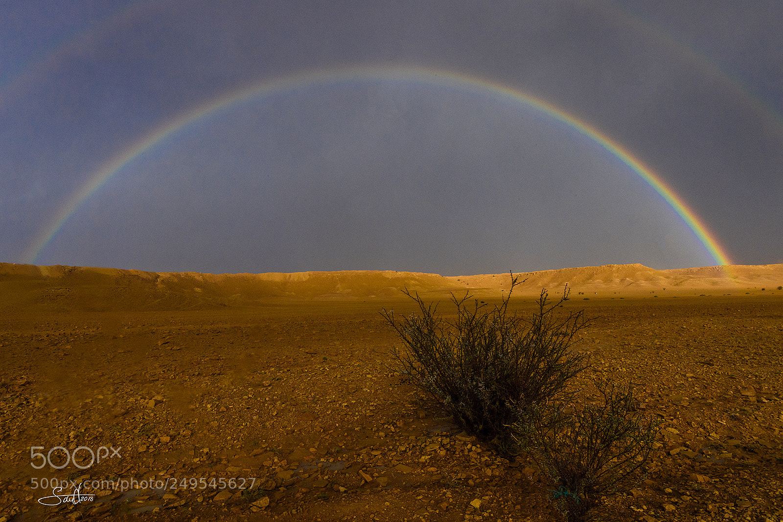 Nikon D5 sample photo. Rainbo colors photography