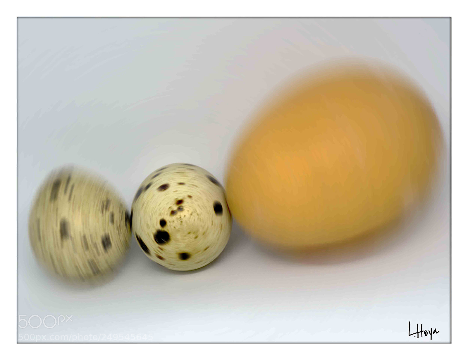 Nikon D610 sample photo. Macro p photography