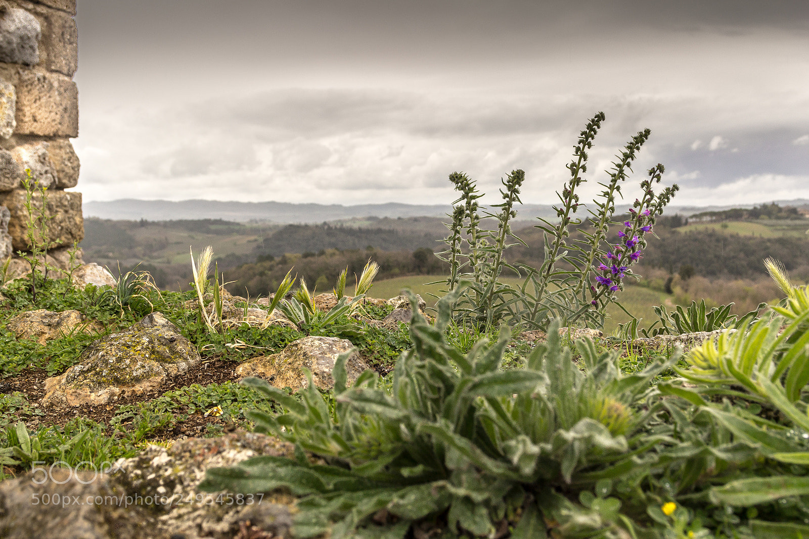 Canon EOS 600D (Rebel EOS T3i / EOS Kiss X5) sample photo. Tuscany in rain photography