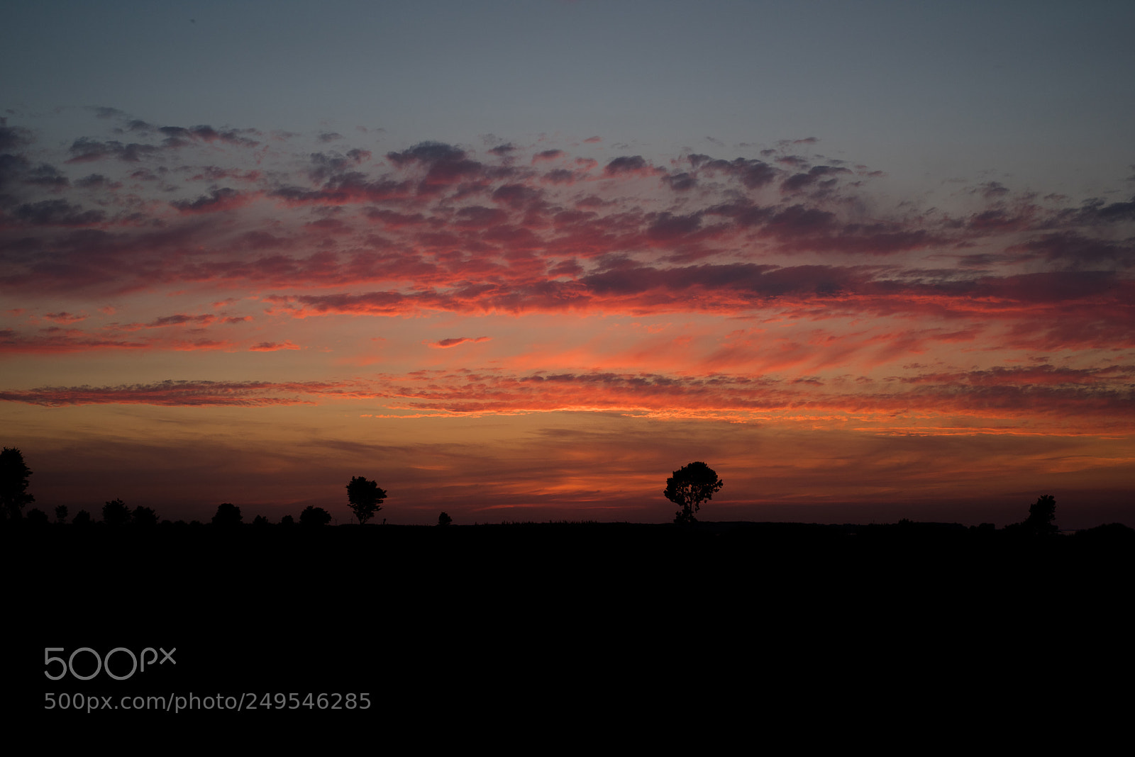 Nikon D810 sample photo. Colorful silhouettes photography