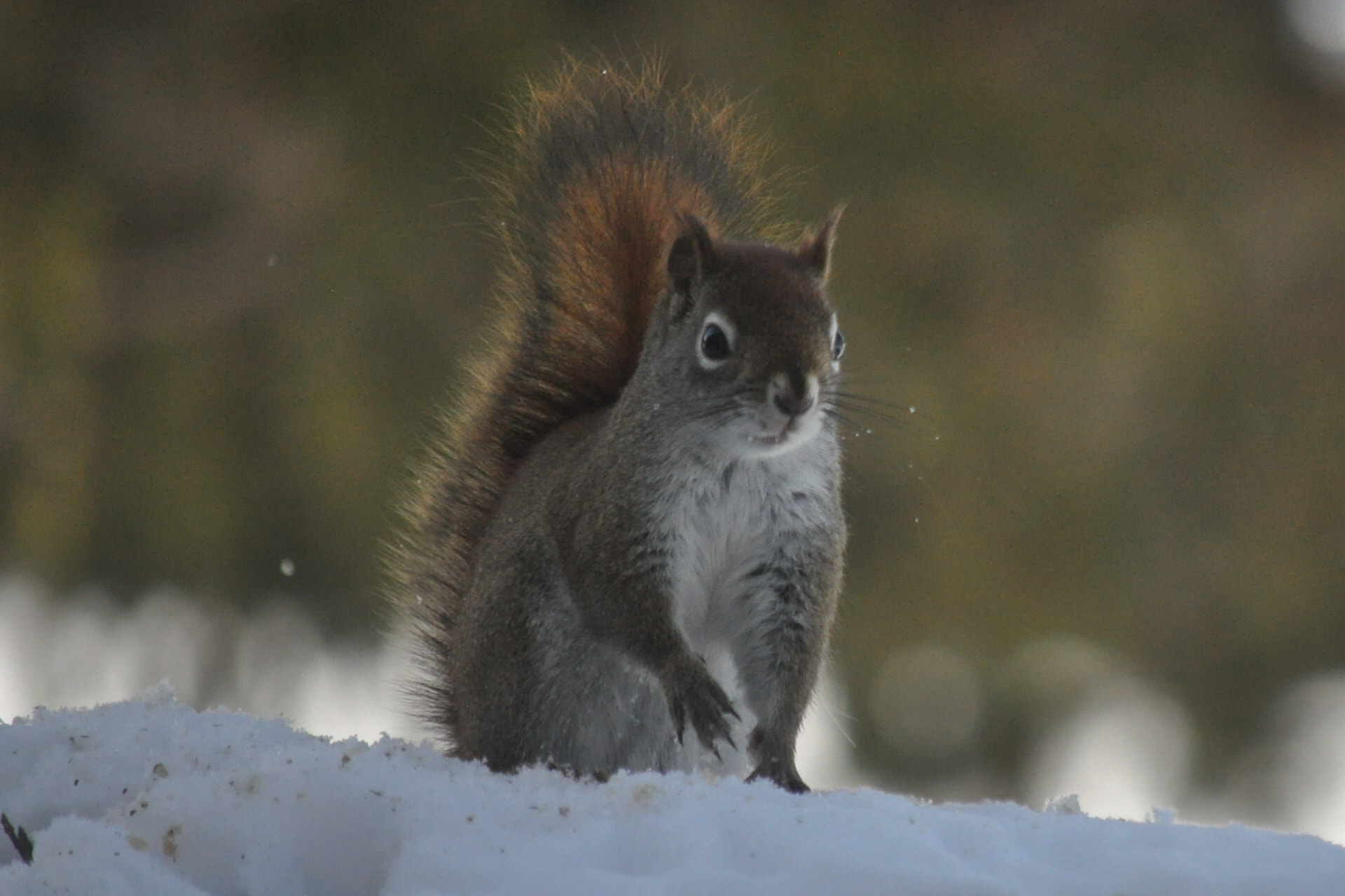 Nikon D5000 sample photo. Who me ?? photography