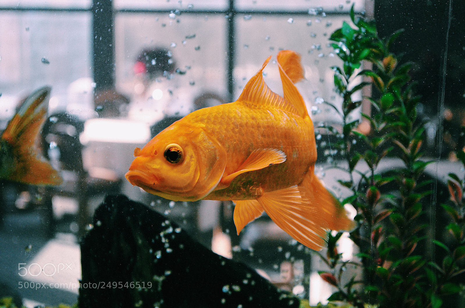 Nikon D5100 sample photo. Untitled photography