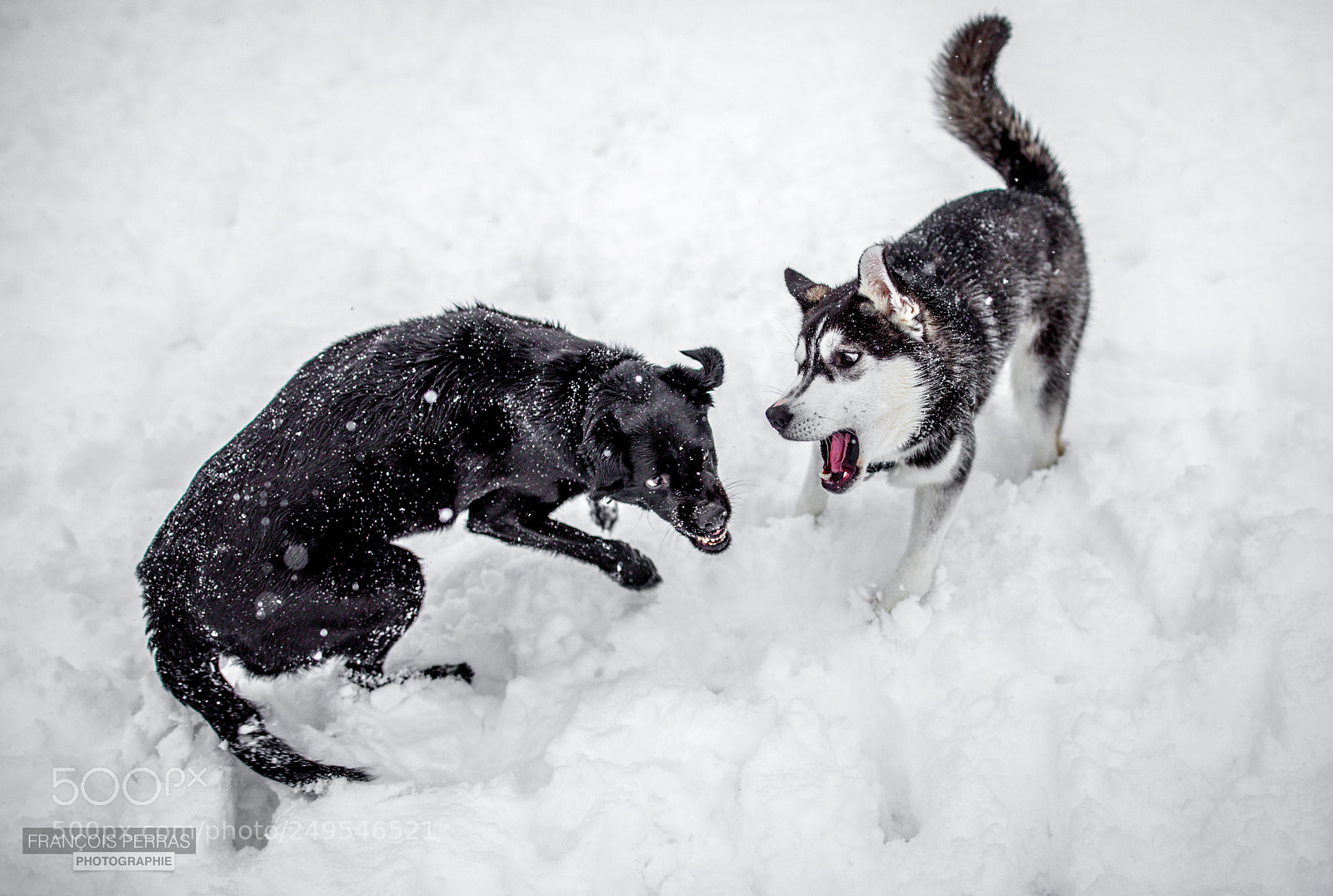 Canon EOS 5D Mark IV sample photo. Winter scene photography