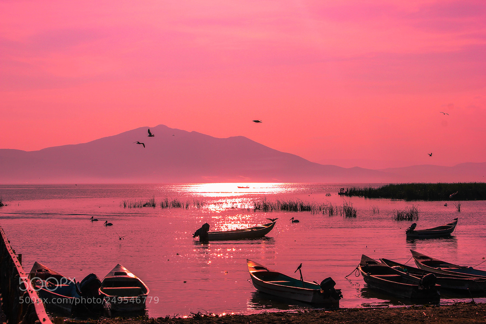 Canon EOS 550D (EOS Rebel T2i / EOS Kiss X4) sample photo. Lago en rosa. chapala photography