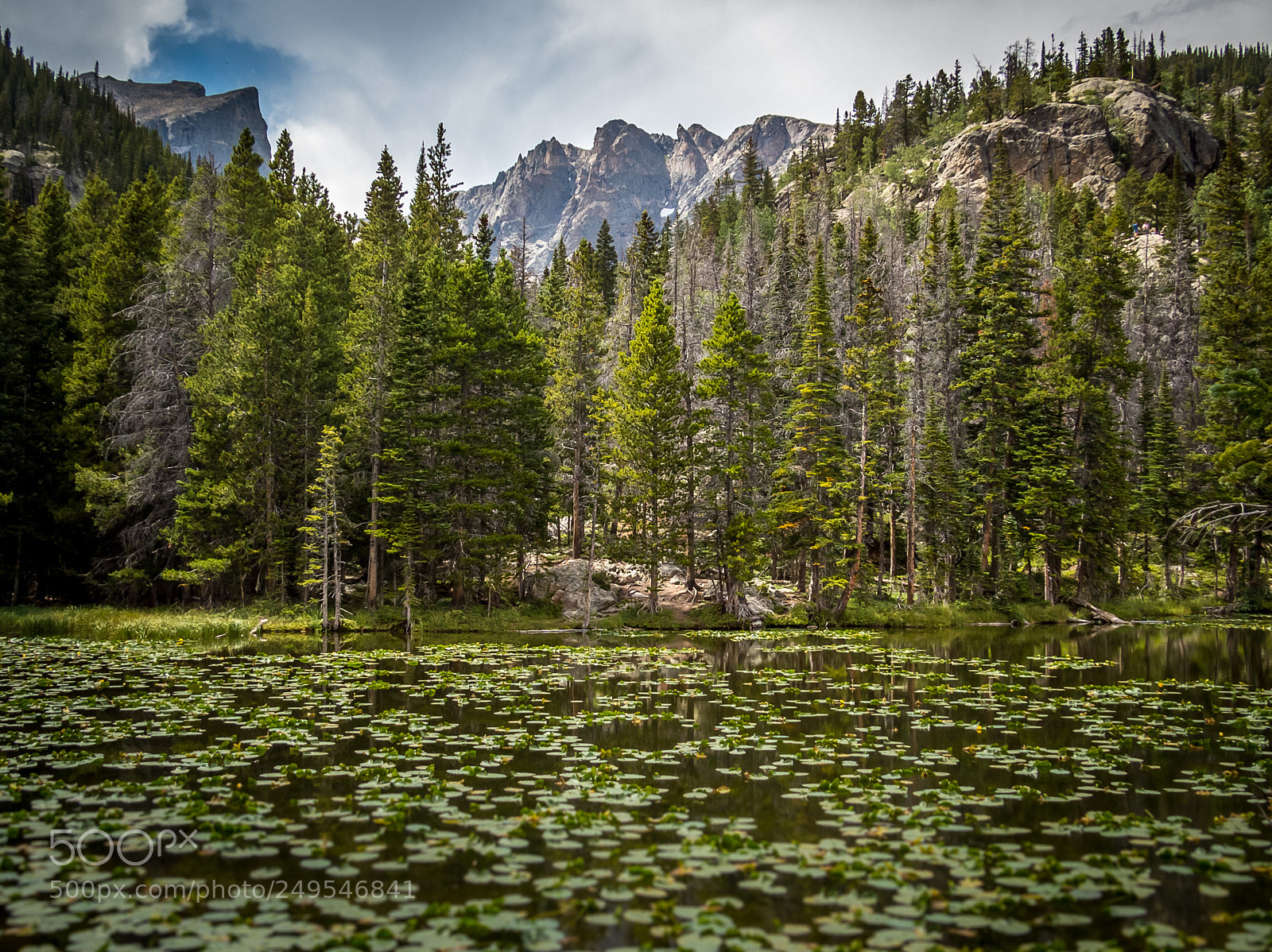 Canon PowerShot SX50 HS sample photo. Rmnp photography