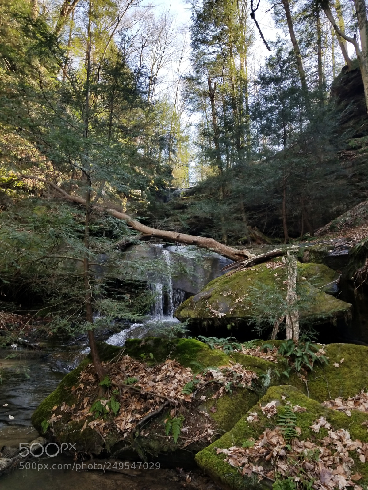 Samsung Galaxy S8 sample photo. Untitled photography