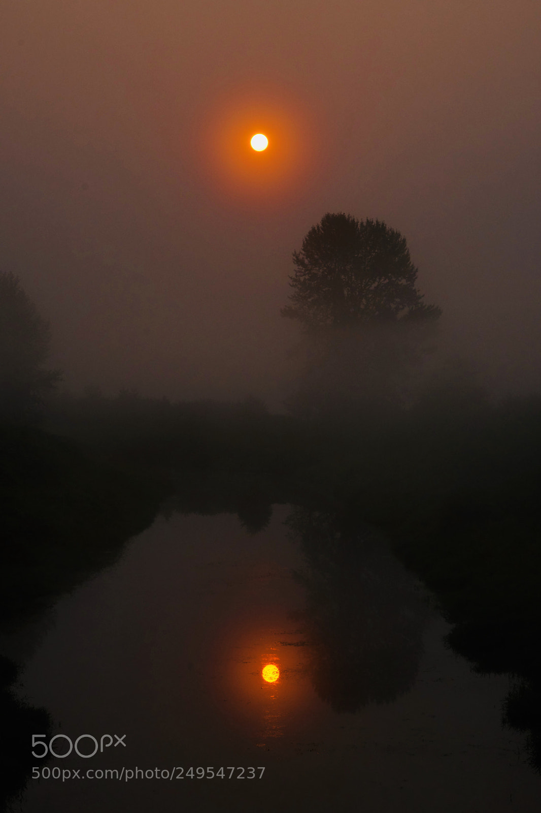 Sony a6300 sample photo. Reflections photography