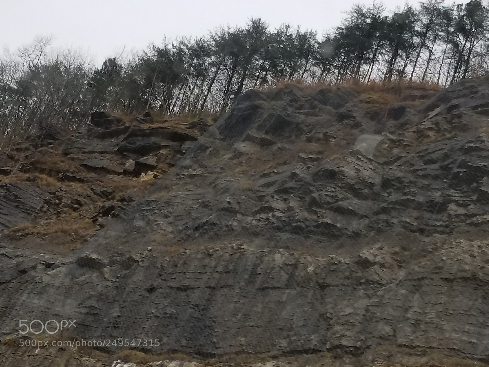 Samsung Galaxy S8 sample photo. Untitled photography