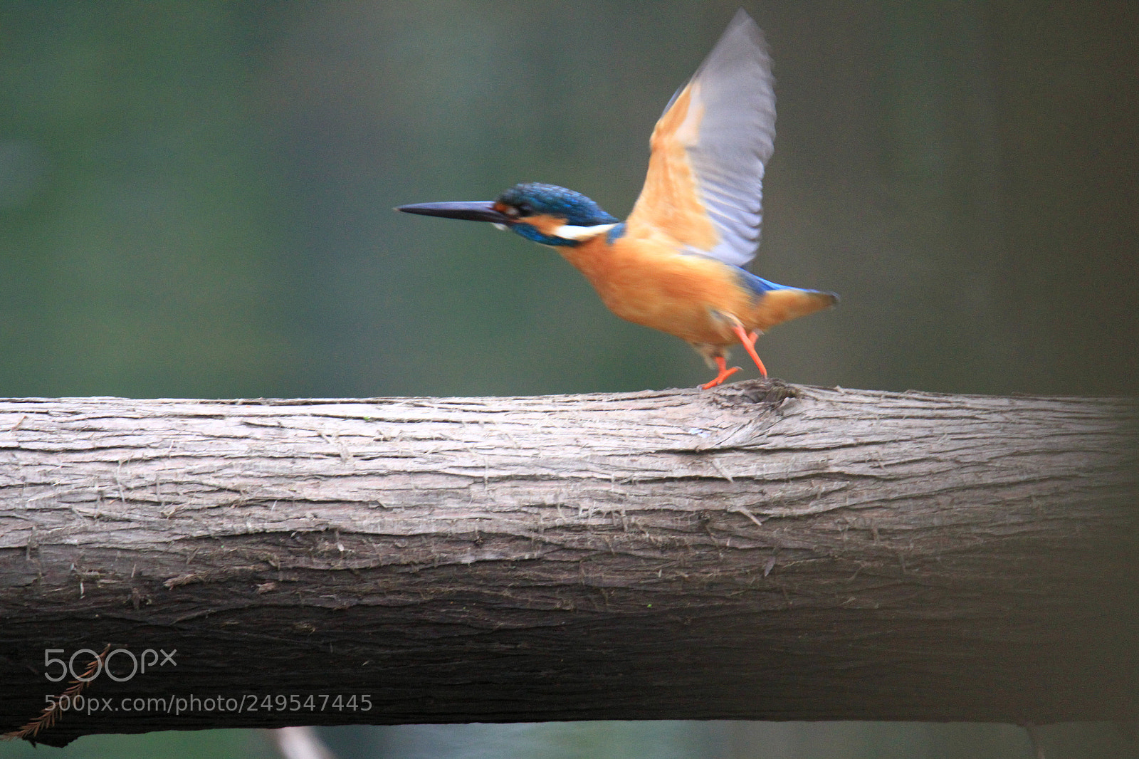 Canon EOS 7D sample photo. Spirit photography