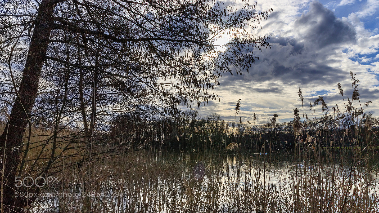 Canon EOS 6D Mark II sample photo. Fin d hiver sur photography