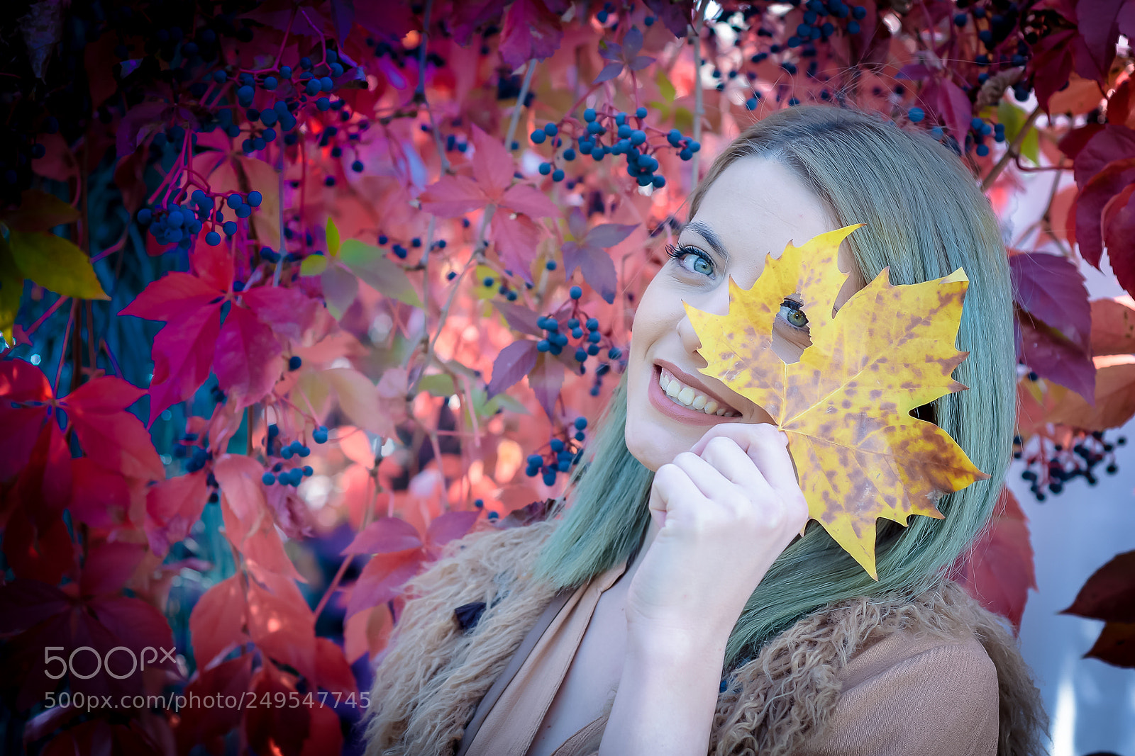 Nikon D7200 sample photo. Img photography