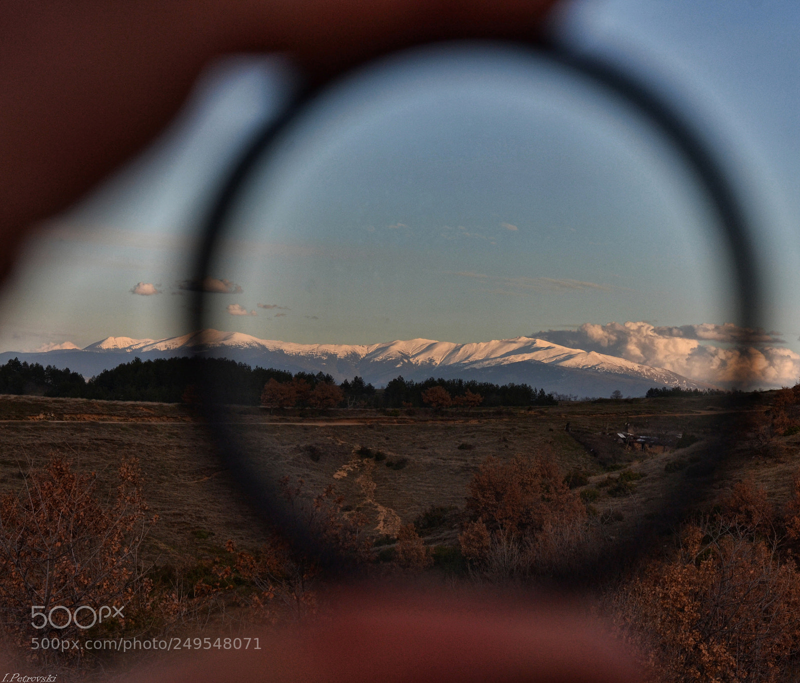 Nikon D3100 sample photo. Circle of life photography