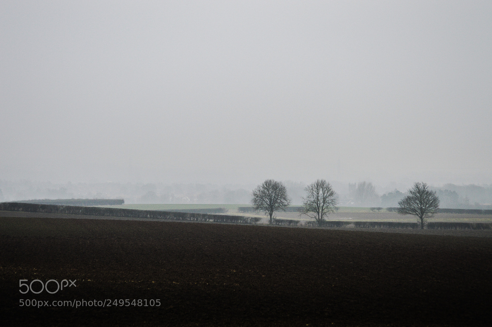 Nikon D3200 sample photo. Wet & hazy photography
