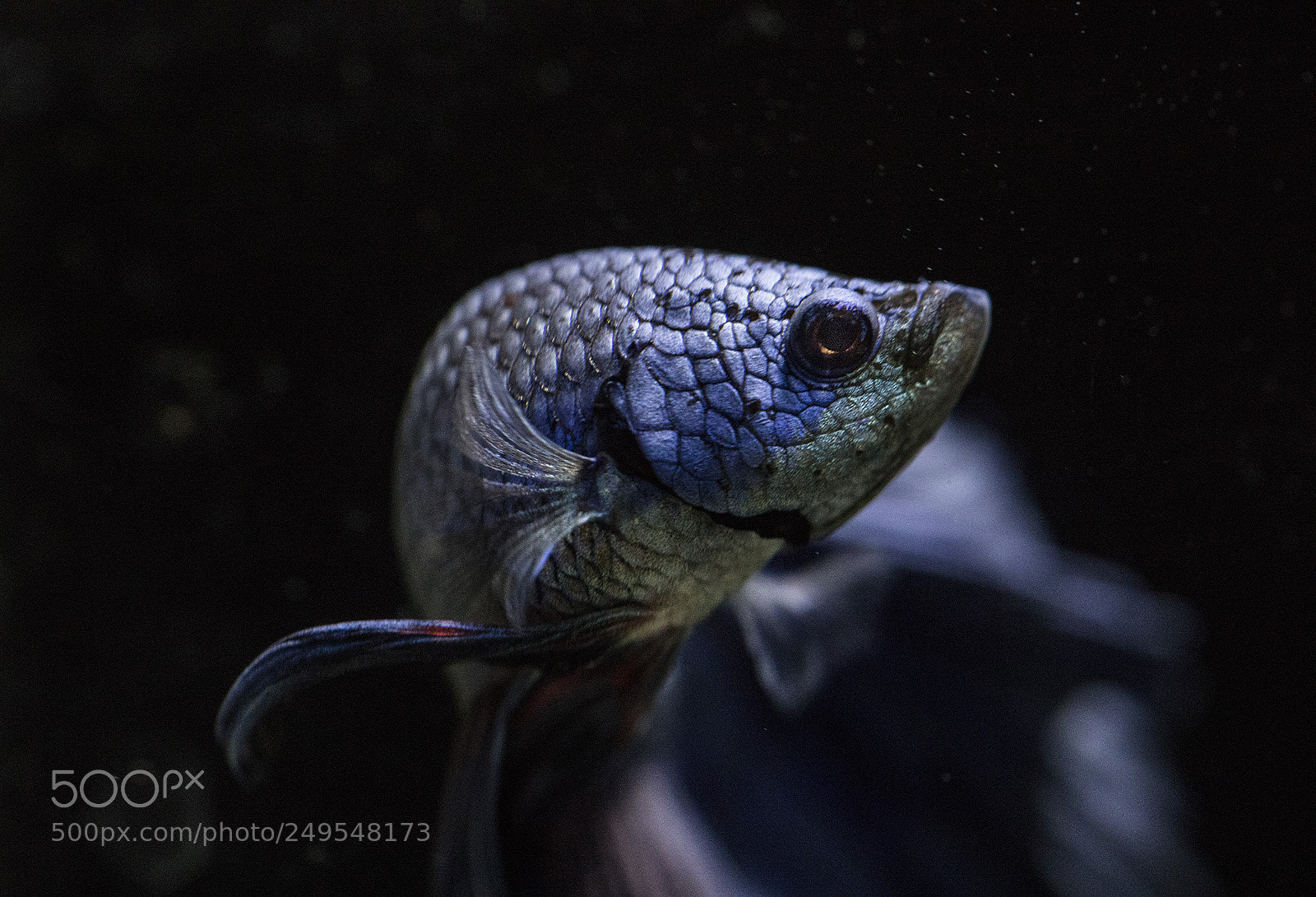 Canon EOS 5D Mark IV sample photo. Untitled photography