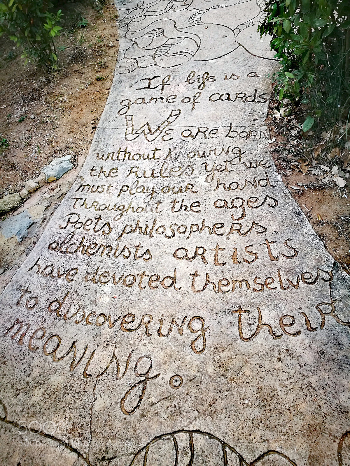 HUAWEI P9 Plus sample photo. Untitled photography
