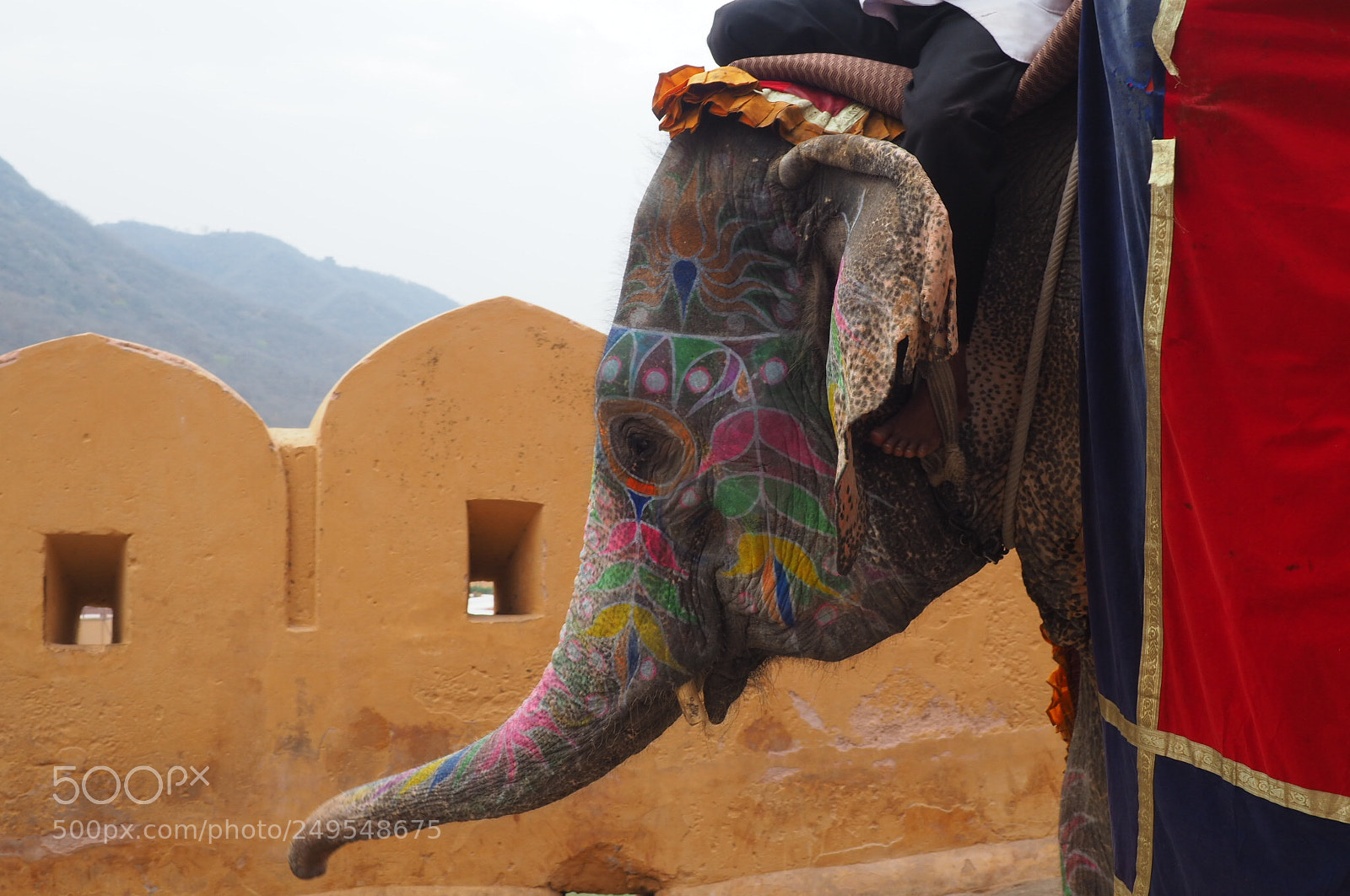 Olympus OM-D E-M10 II sample photo. Elephant photography