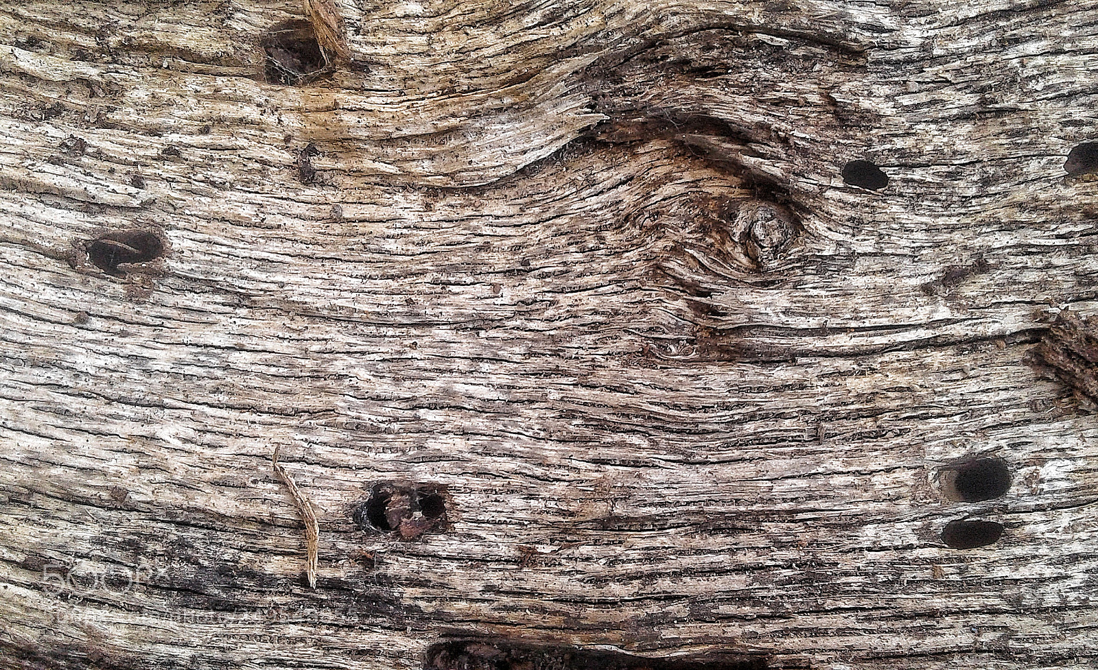 Samsung Galaxy J2 sample photo. Wood photography