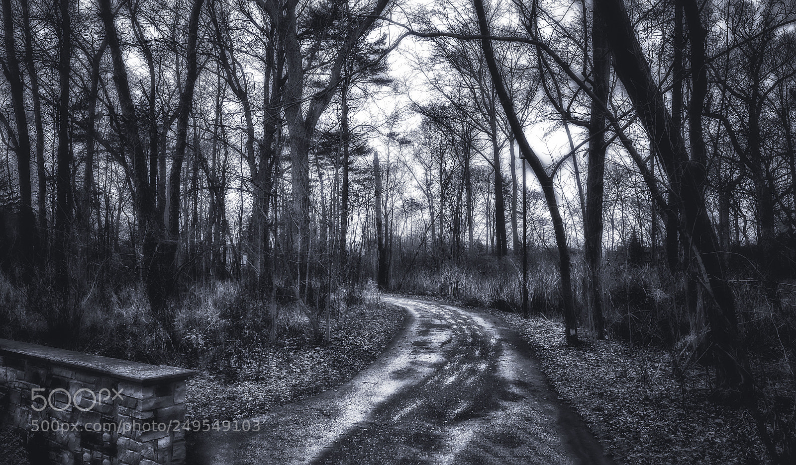 Fujifilm X-E2 sample photo. Adamson estate photography