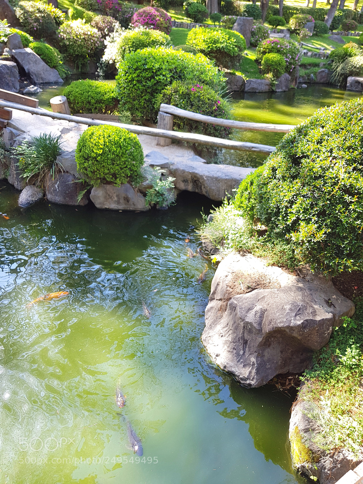 Samsung Galaxy S8 sample photo. Untitled photography