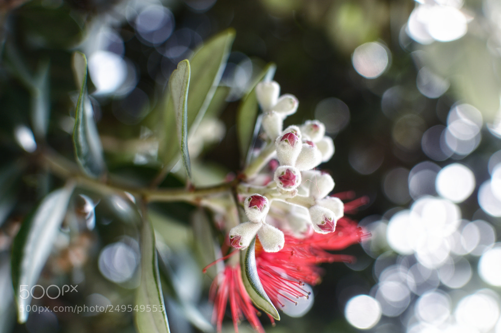 Nikon D5200 sample photo. New life photography