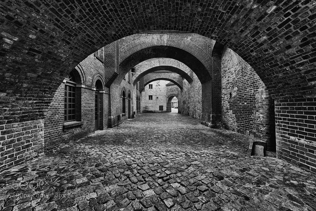 Canon EOS 5D Mark IV sample photo. Arches photography