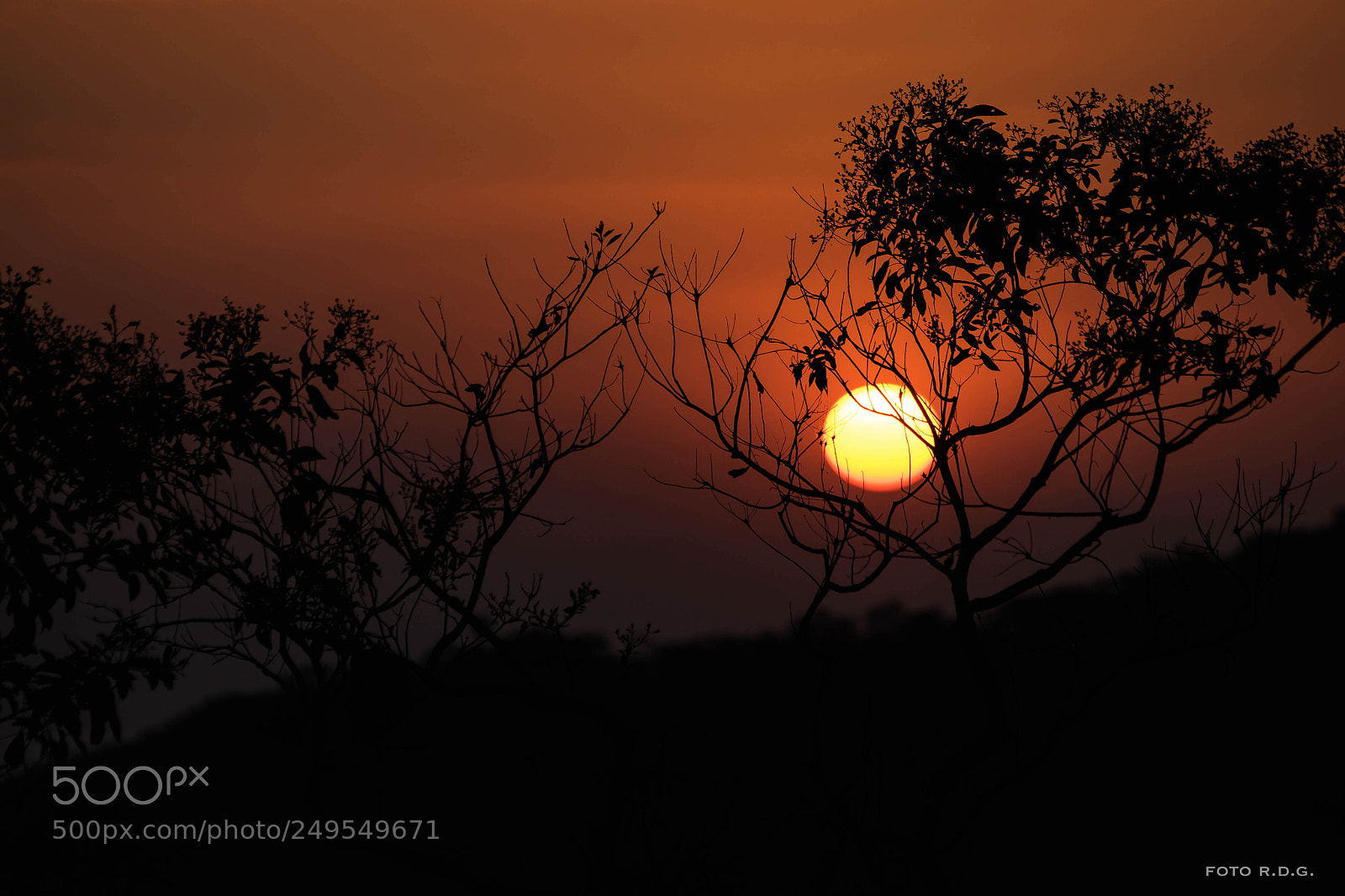 Nikon D5300 sample photo. Lobo photography