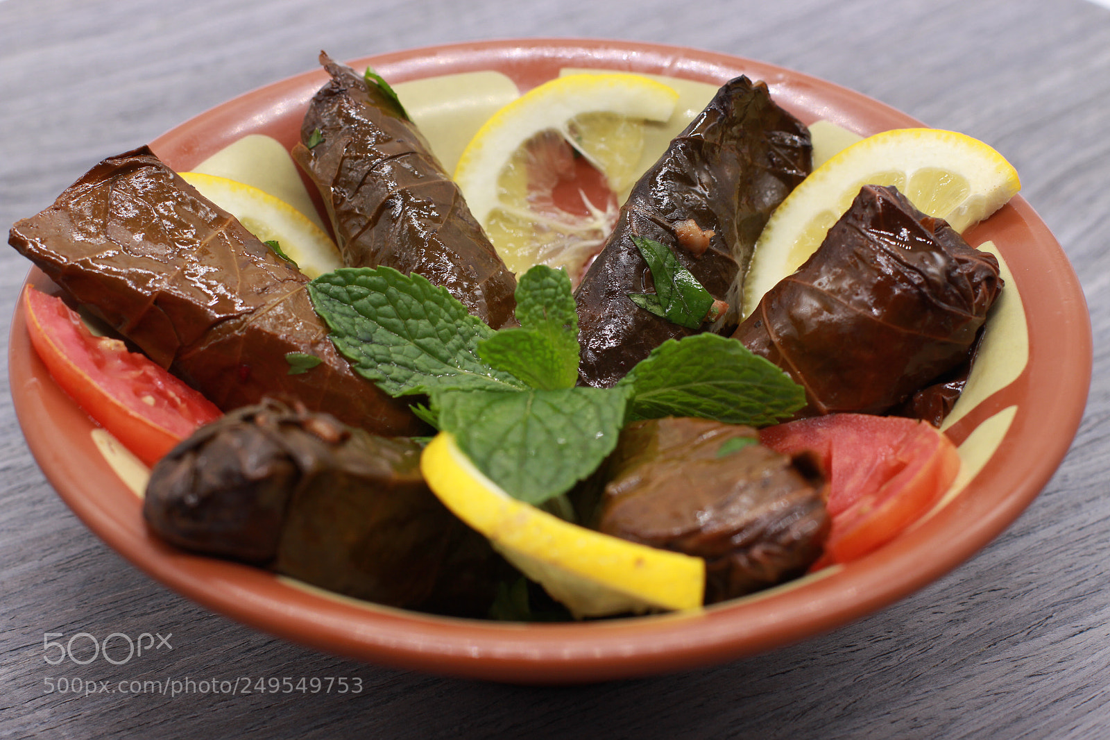 Canon EOS 700D (EOS Rebel T5i / EOS Kiss X7i) sample photo. Stuffed grape leaves photography