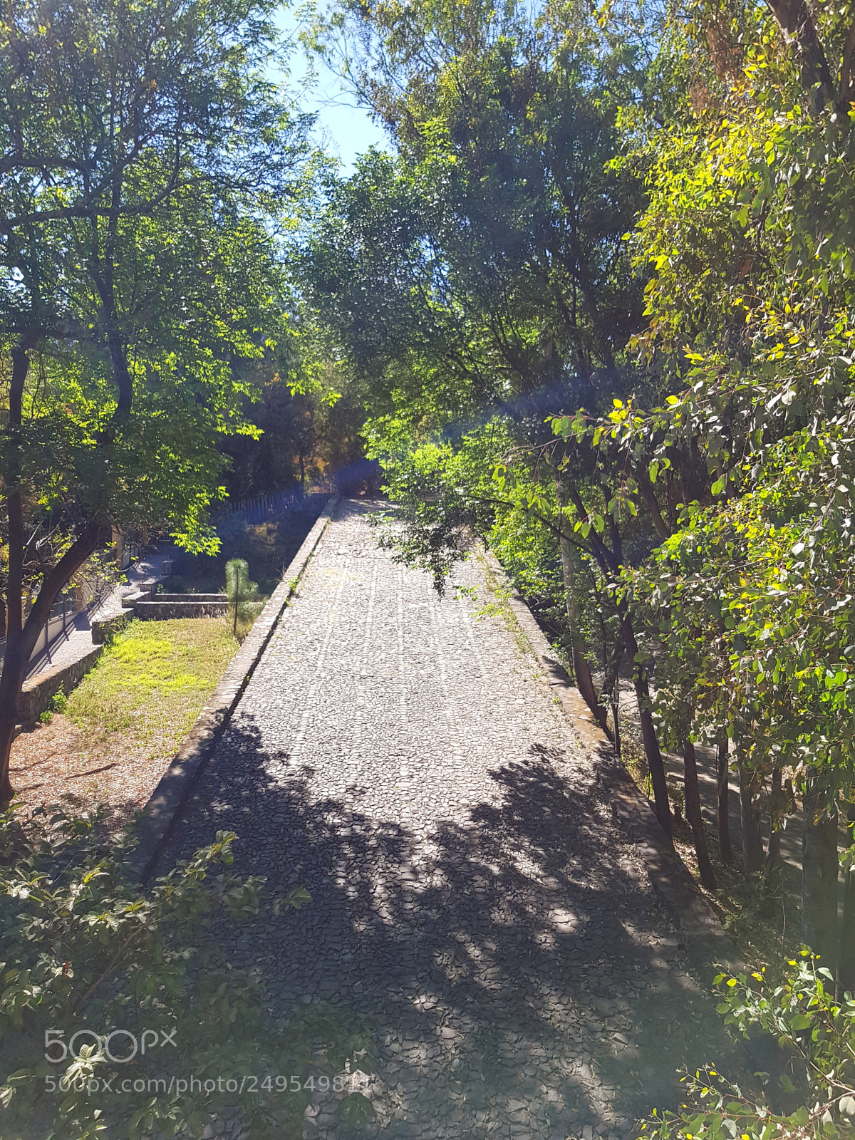 Samsung Galaxy S8 sample photo. Untitled photography