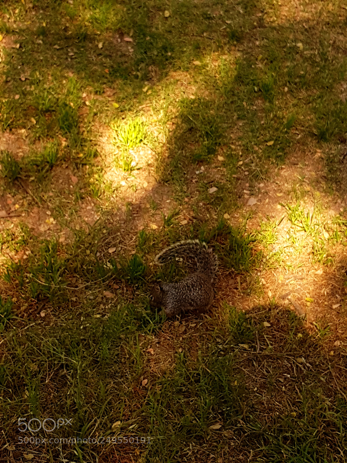 Samsung Galaxy S8 sample photo. Untitled photography