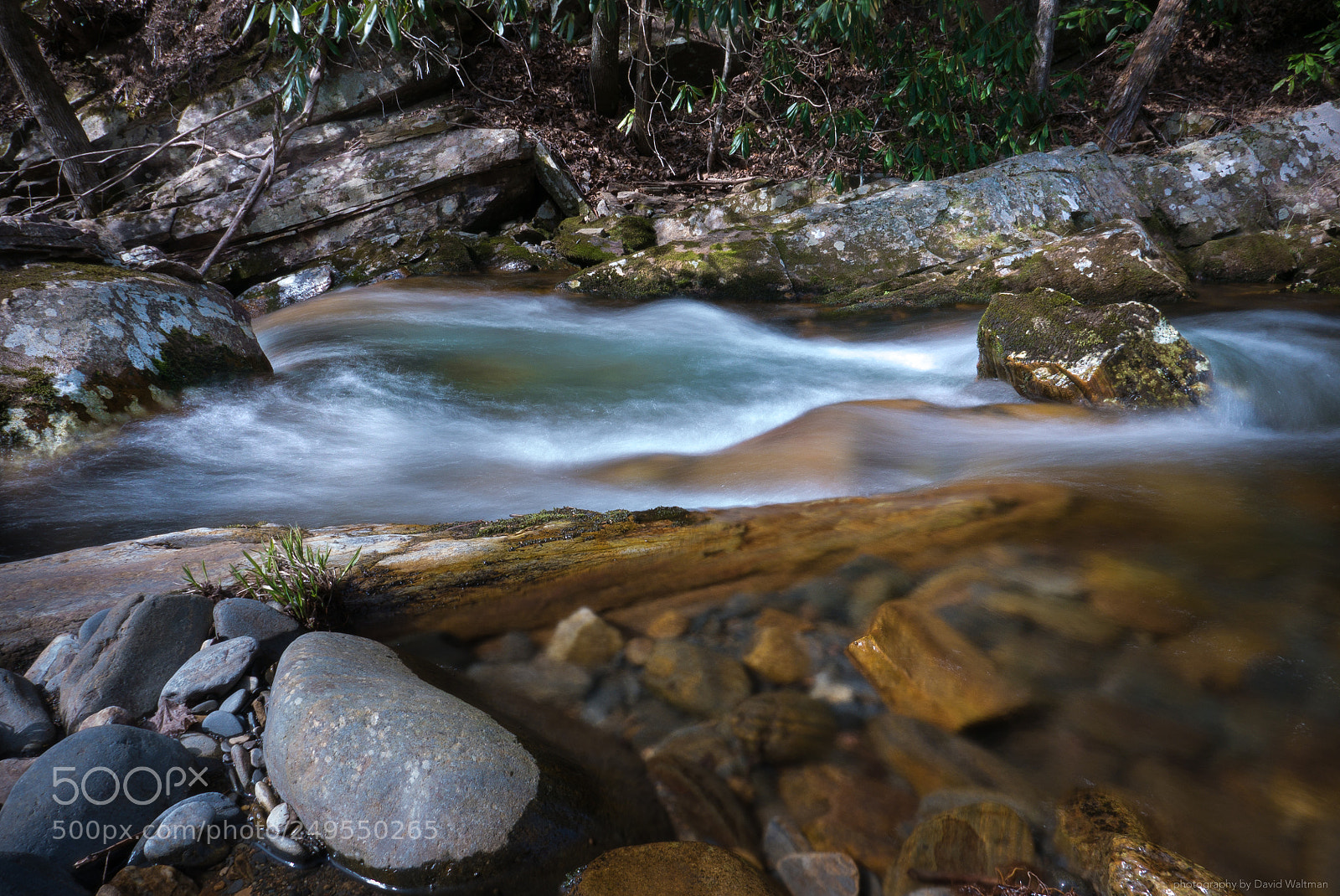 Panasonic Lumix DMC-LX100 sample photo. Spring flow photography