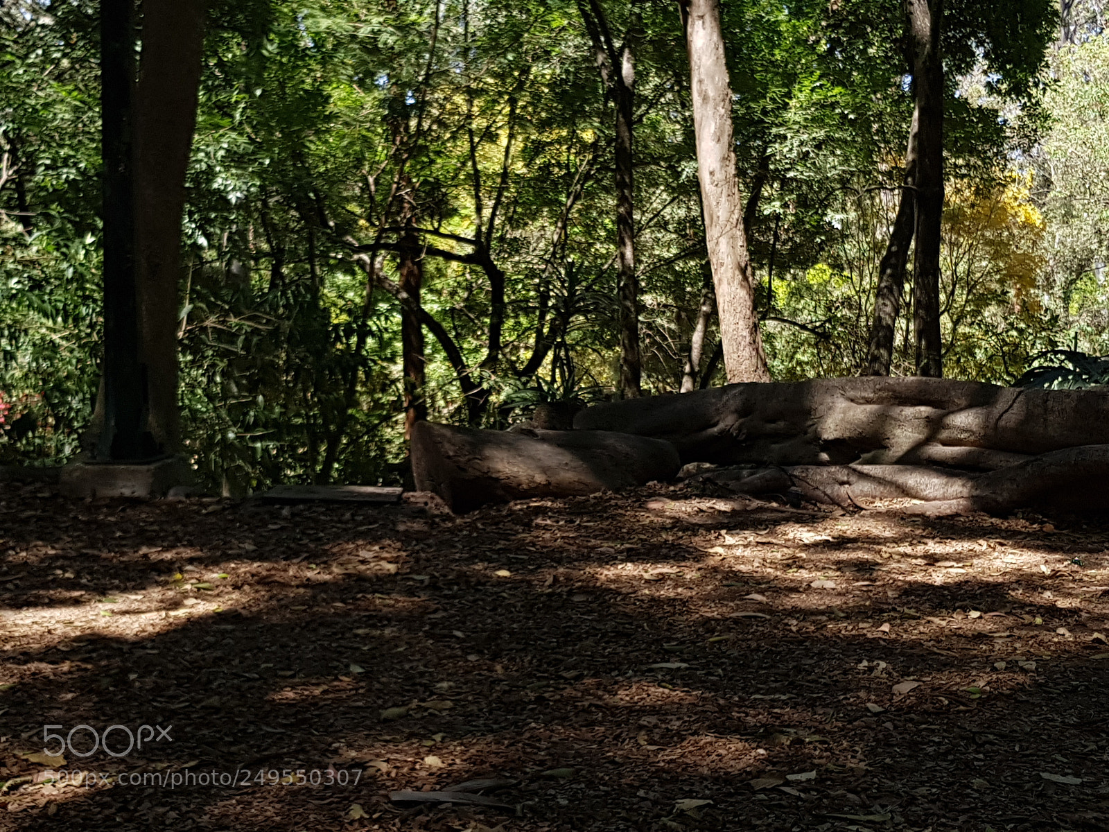 Samsung Galaxy S8 sample photo. Untitled photography