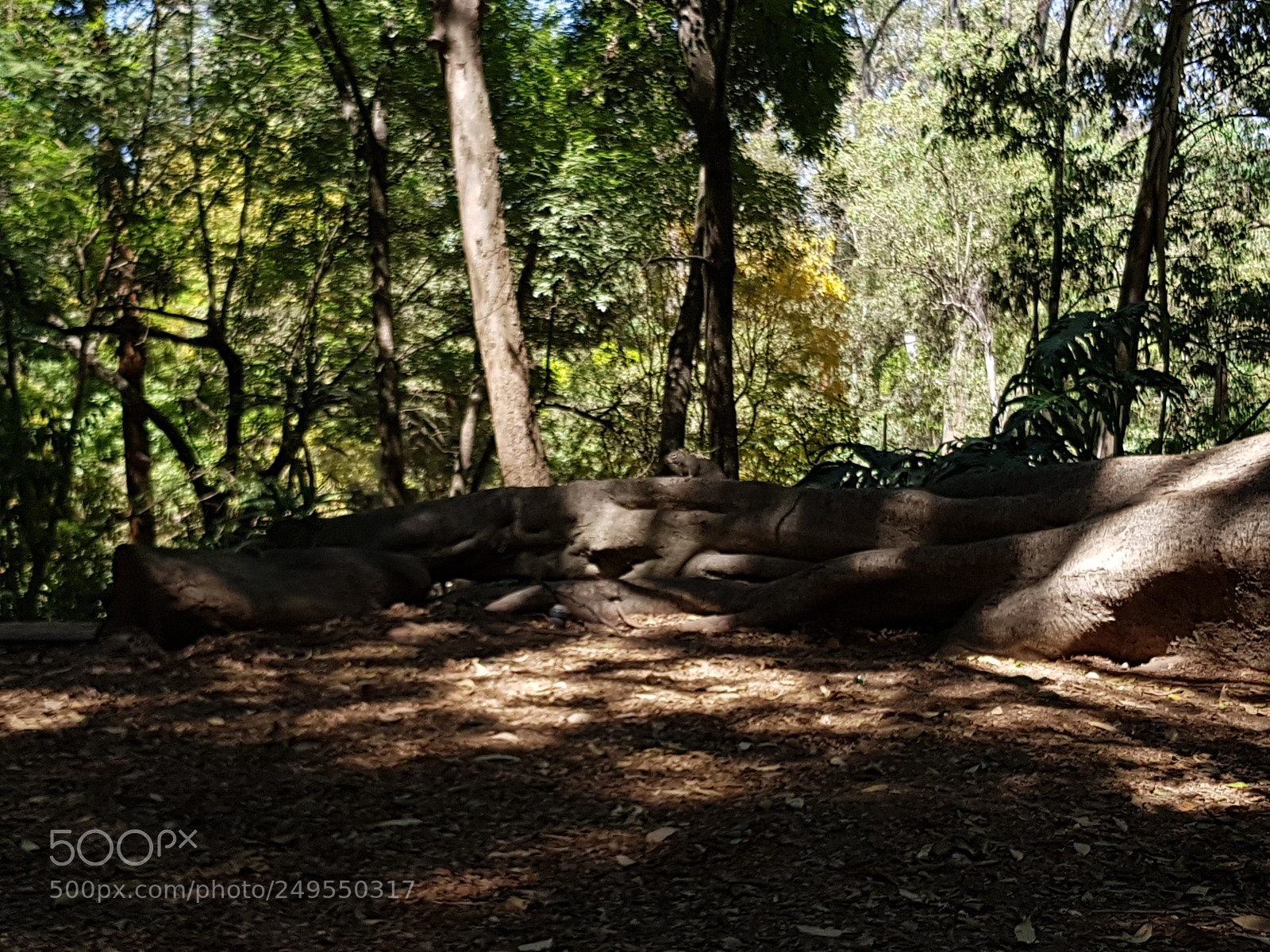 Samsung Galaxy S8 sample photo. Untitled photography