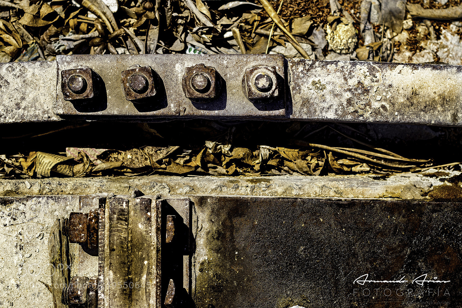 Nikon D5300 sample photo. Unions photography