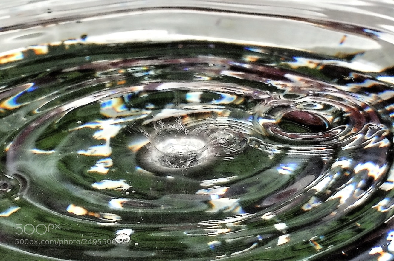 Nikon D90 sample photo. Pingar photography
