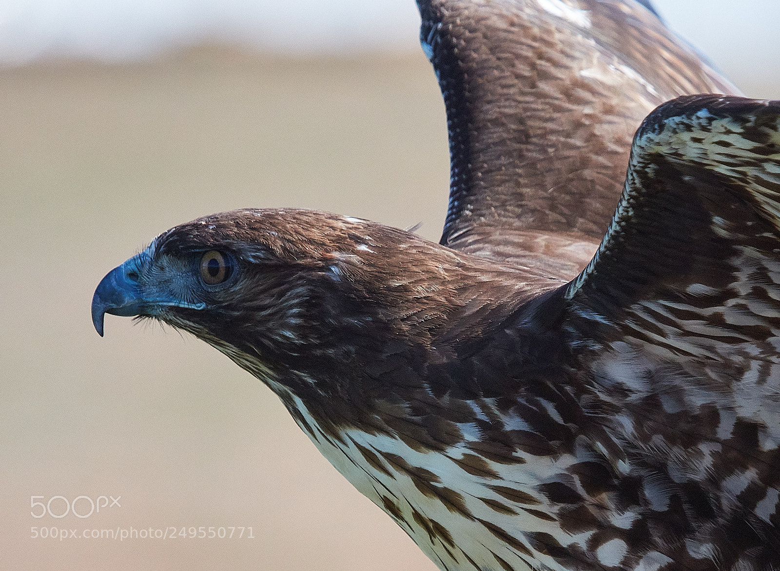 Canon EOS 5DS R sample photo. Takeoff - part 1 photography