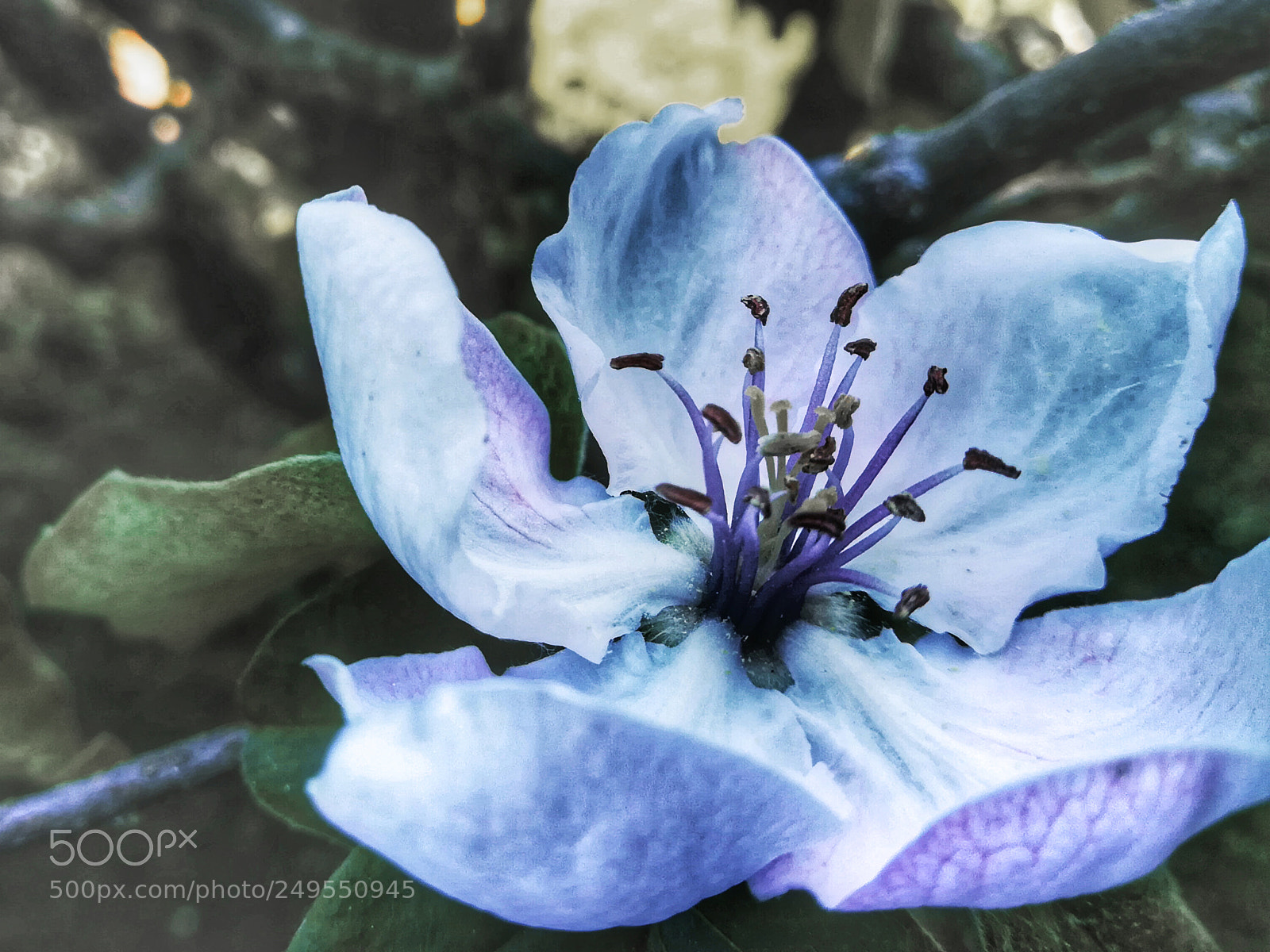 HUAWEI PRA-LX1 sample photo. Tonos azules photography